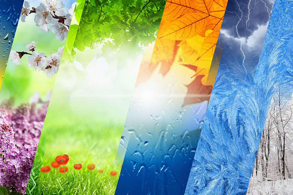 Colorful flowers, shining sun, autumn leaves, winter ice and snow