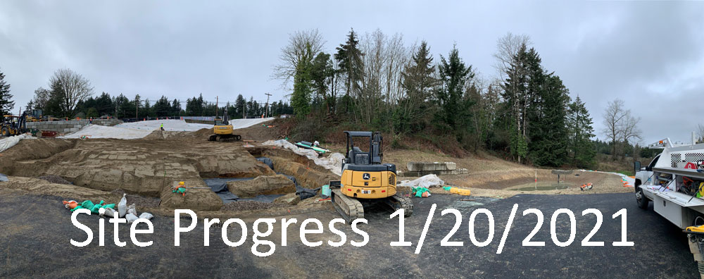 Pendleton Place Site Progress 1/20/2021